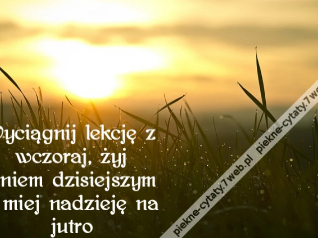 Wyciągnij lekcję z wczoraj, żyj dniem dzisiejszym i miej nadzieję na jutro