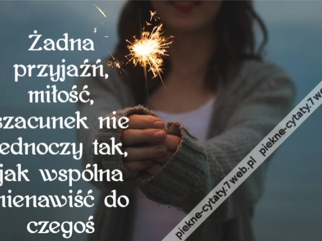 Żadna przyjaźń, miłość, szacunek nie jednoczy tak, jak wspólna nienawiść do czegoś