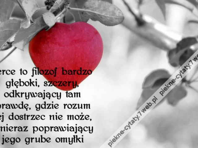 Serce to filozof bardzo głęboki, szczery, odkrywający tam prawdę, gdzie rozum jej dostrzec nie może, i nieraz poprawiający jego grube omyłki