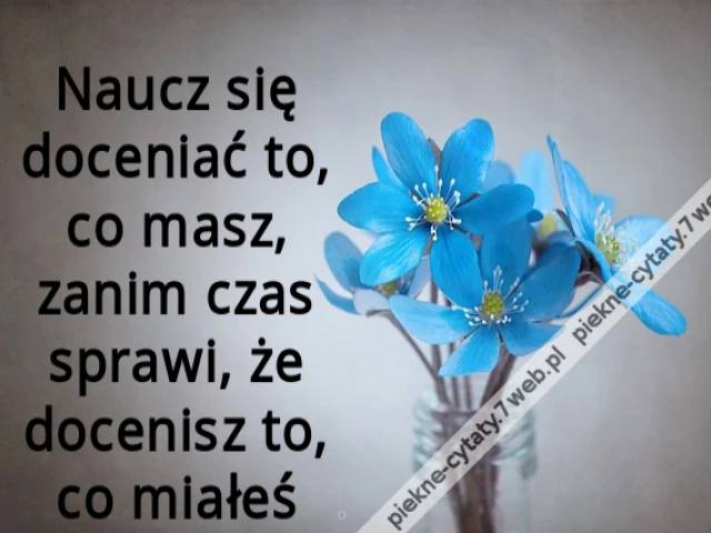 Naucz się doceniać to, co masz, zanim czas sprawi, że docenisz to, co miałeś