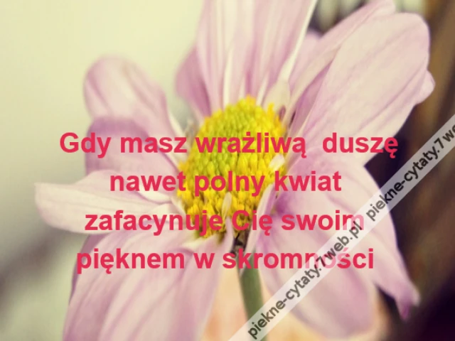 Gdy masz wrażliwą  duszę\r\nnawet polny kwiat \r\nzafacynuje Cię swoim \r\npięknem w skromności