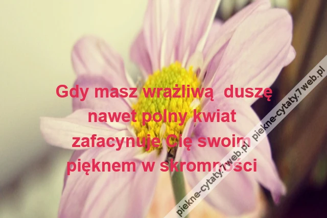 Gdy masz wrażliwą duszę\r\nnawet polny kwiat \r\nzafacynuje Cię swoim \r\npięknem w skromności