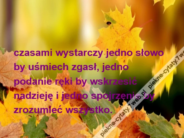 czasami wystarczy jedno słowoby uśmiech zgasł, jednopodanie ręki by wskrzesićnadzieję i jedno spojrzenie byzrozumieć wszystko.