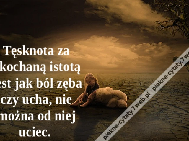 Tęsknota za ukochaną istotą jest jak ból zęba czy ucha, nie można od niej uciec.