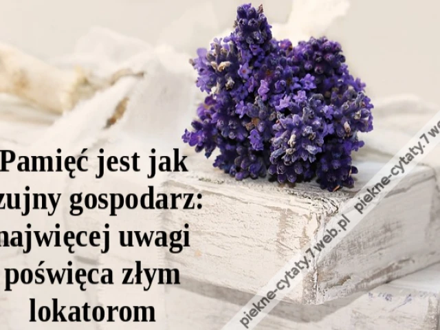 Pamięć jest jak czujny gospodarz: najwięcej uwagi poświęca złym lokatorom