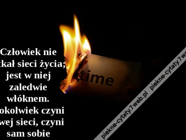 Człowiek nie utkał sieci życia; jest w niej zaledwie włóknem. Cokolwiek czyni owej sieci, czyni sam sobie