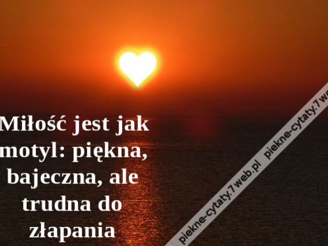 Miłość jest jak motyl: piękna, bajeczna, ale trudna do złapania