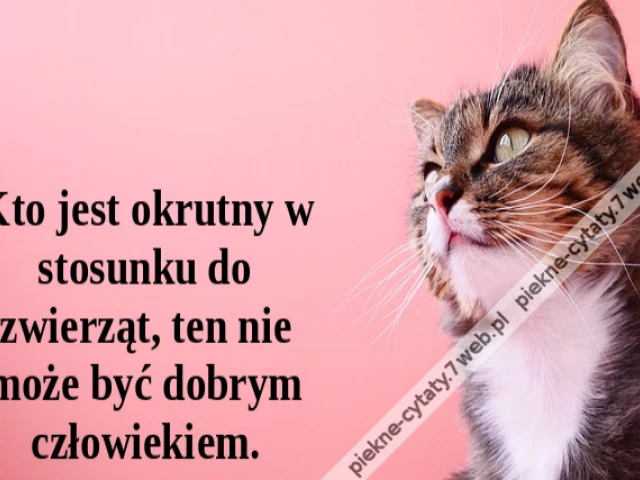 Kto jest okrutny w stosunku do zwierząt, ten nie może być dobrym człowiekiem.