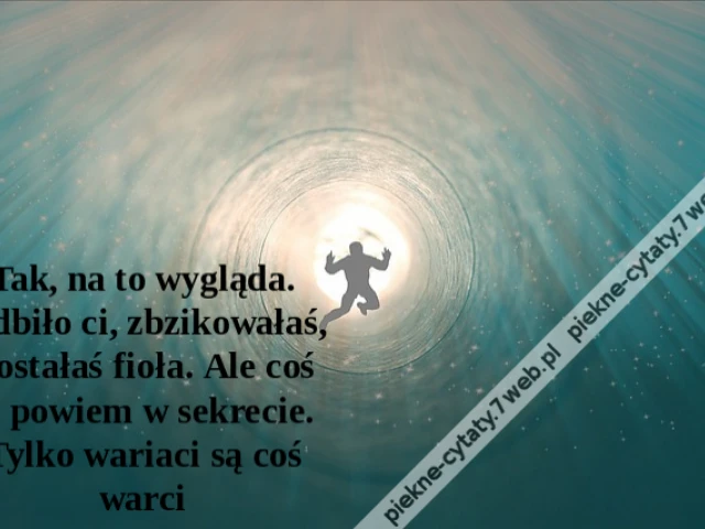 Tak, na to wygląda. Odbiło ci, zbzikowałaś, dostałaś fioła. Ale coś ci powiem w sekrecie. Tylko wariaci są coś warci