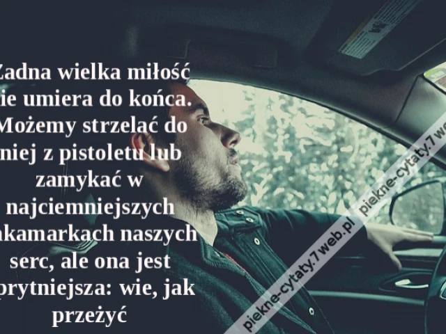 Żadna wielka miłość nie umiera do końca. Możemy strzelać do niej z pistoletu lub zamykać w najciemniejszych zakamarkach naszych serc, ale ona jest sprytniejsza: wie, jak przeżyć