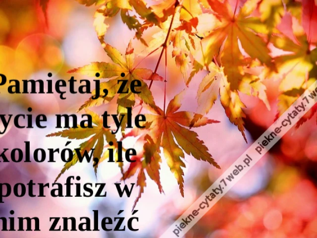 Pamiętaj, że życie ma tyle kolorów, ile potrafisz w nim znaleźć