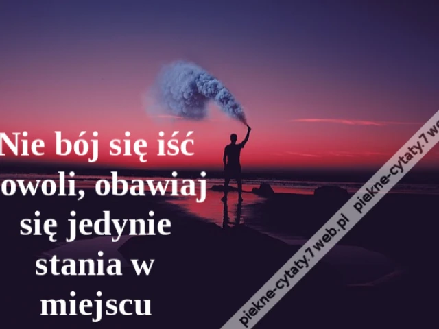 Nie bój się iść powoli, obawiaj się jedynie stania w miejscu