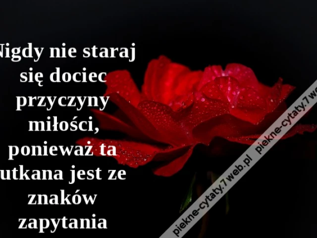 Nigdy nie staraj się dociec przyczyny miłości, ponieważ ta utkana jest ze znaków zapytania