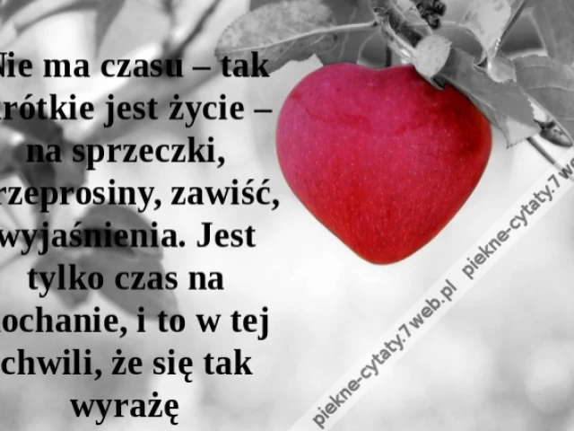 Nie ma czasu – tak krótkie jest życie – na sprzeczki, przeprosiny, zawiść, wyjaśnienia. Jest tylko czas na kochanie, i to w tej chwili, że się tak wyrażę