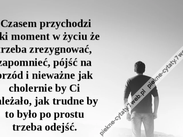 Czasem przychodzi taki moment w życiu że trzeba zrezygnować, zapomnieć, pójść na przód i nieważne jak cholernie by Ci zależało, jak trudne by to było po prostu trzeba odejść.