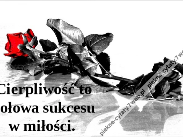 Cierpliwość to połowa sukcesu w miłości.