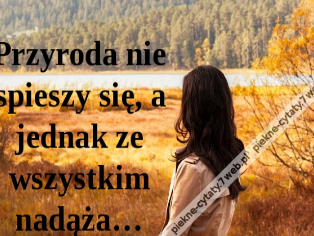 Przyroda nie spieszy się, a jednak ze wszystkim nadąża…