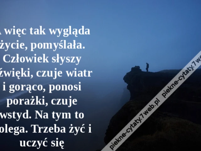 A więc tak wygląda życie, pomyślała. Człowiek słyszy dźwięki, czuje wiatr i gorąco, ponosi porażki, czuje wstyd. Na tym to polega. Trzeba żyć i uczyć się