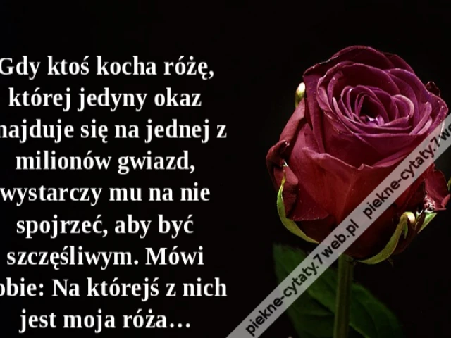 Gdy ktoś kocha różę, której jedyny okaz znajduje się na jednej z milionów gwiazd, wystarczy mu na nie spojrzeć, aby być szczęśliwym. Mówi sobie: Na którejś z nich jest moja róża…