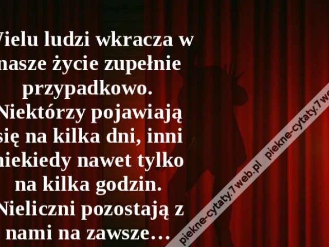 Wielu ludzi wkracza w nasze życie zupełnie przypadkowo. Niektórzy pojawiają się na kilka dni, inni niekiedy nawet tylko na kilka godzin. Nieliczni pozostają z nami na zawsze…
