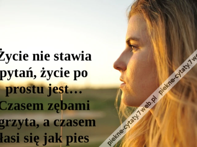 Życie nie stawia pytań, życie po prostu jest… Czasem zębami zgrzyta, a czasem łasi się jak pies