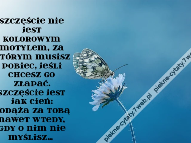 Szczęście nie jest kolorowym motylem, za którym musisz pobiec, jeśli chcesz go złapać. Szczęście jest jak cień: podąża za tobą nawet wtedy, gdy o nim nie myślisz…