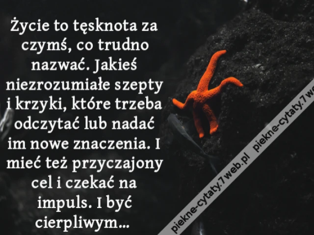 Życie to tęsknota za czymś, co trudno nazwać. Jakieś niezrozumiałe szepty i krzyki, które trzeba odczytać lub nadać im nowe znaczenia. I mieć też przyczajony cel i czekać na impuls. I być cierpliwym…