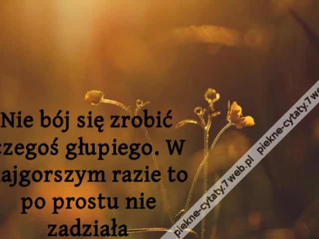 Nie bój się zrobić czegoś głupiego. W najgorszym razie to po prostu nie zadziała