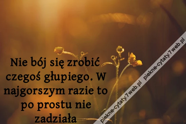 Nie bój się zrobić czegoś głupiego. W najgorszym razie to po prostu nie zadziała
