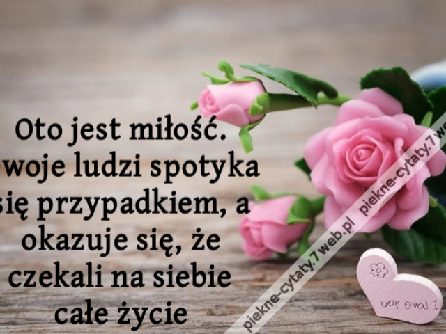 Oto jest miłość. Dwoje ludzi spotyka się przypadkiem, a okazuje się, że czekali na siebie całe życie