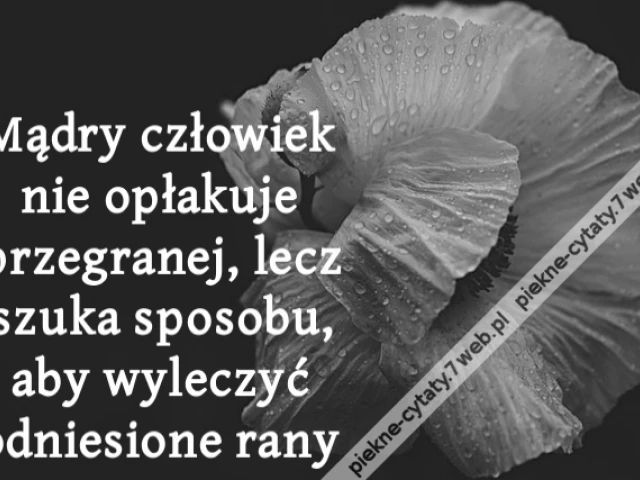 Mądry człowiek nie opłakuje przegranej, lecz szuka sposobu, aby wyleczyć odniesione rany