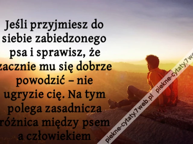 Jeśli przyjmiesz do siebie zabiedzonego psa i sprawisz, że zacznie mu się dobrze powodzić – nie ugryzie cię. Na tym polega zasadnicza różnica między psem a człowiekiem