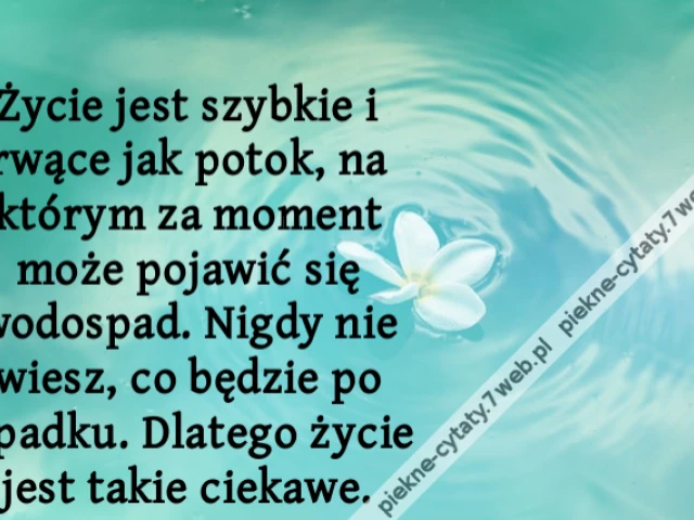 Życie jest szybkie i rwące jak potok, na którym za moment może pojawić się wodospad. Nigdy nie wiesz, co będzie po upadku. Dlatego życie jest takie ciekawe.