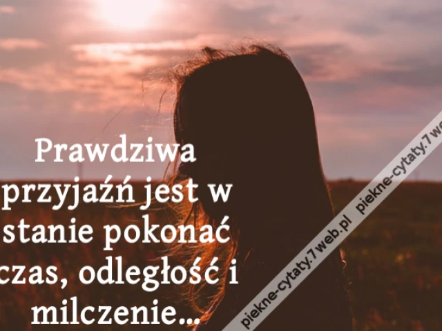 Prawdziwa przyjaźń jest w stanie pokonać czas, odległość i milczenie…