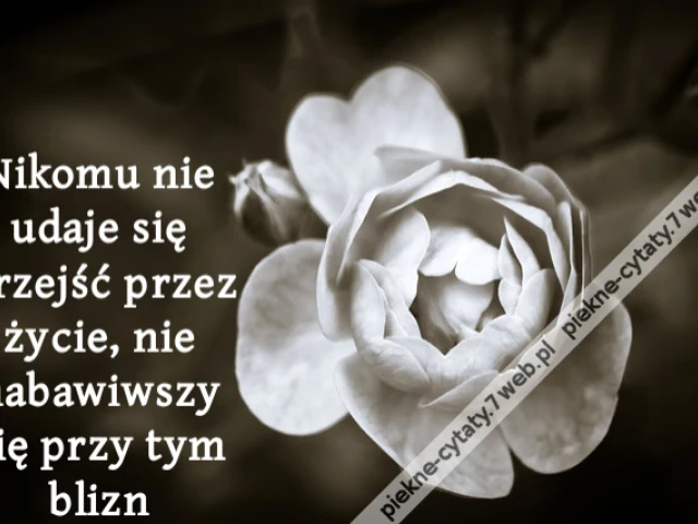 Nikomu nie udaje się przejść przez życie, nie nabawiwszy się przy tym blizn