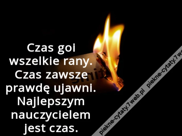 Czas goi wszelkie rany. Czas zawsze prawdę ujawni. Najlepszym nauczycielem jest czas.