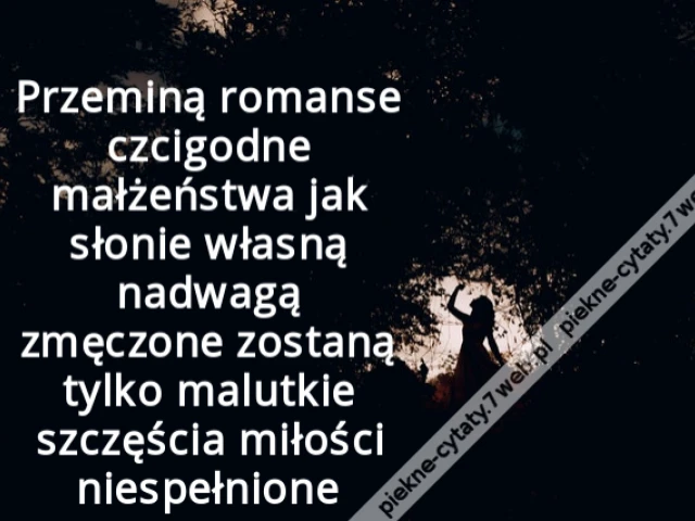 Przeminą romanse czcigodne małżeństwa jak słonie własną nadwagą zmęczone zostaną tylko malutkie szczęścia miłości niespełnione