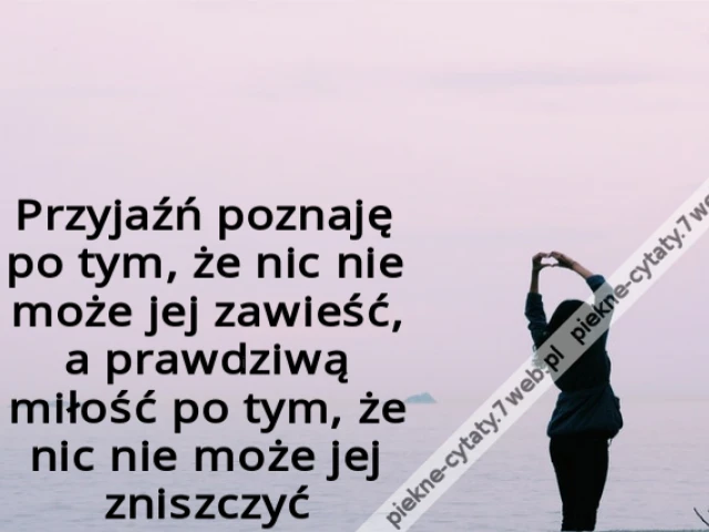 Przyjaźń poznaję po tym, że nic nie może jej zawieść, a prawdziwą miłość po tym, że nic nie może jej zniszczyć