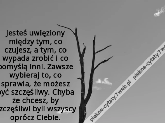 Jesteś uwięziony między tym, co czujesz, a tym, co wypada zrobić i co pomyślą inni. Zawsze wybieraj to, co sprawia, że możesz być szczęśliwy. Chyba że chcesz, by szczęśliwi byli wszyscy oprócz Ciebie.