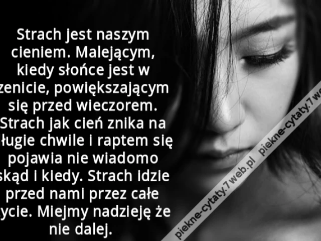 Strach jest naszym cieniem. Malejącym, kiedy słońce jest w zenicie, powiększającym się przed wieczorem. Strach jak cień znika na długie chwile i raptem się pojawia nie wiadomo skąd i kiedy. Strach idzie przed nami przez całe życie. Miejmy nadzieję że nie