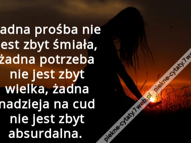 Żadna prośba nie jest zbyt śmiała, żadna potrzeba nie jest zbyt wielka, żadna nadzieja na cud nie jest zbyt absurdalna.