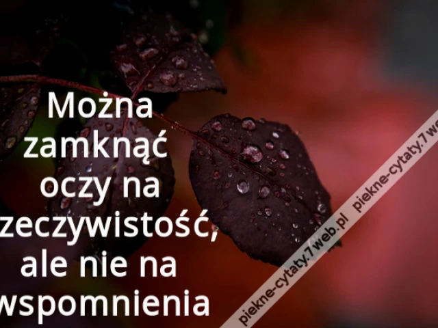 Można zamknąć oczy na rzeczywistość, ale nie na wspomnienia