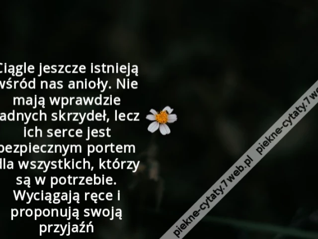 Ciągle jeszcze istnieją wśród nas anioły. Nie mają wprawdzie żadnych skrzydeł, lecz ich serce jest bezpiecznym portem dla wszystkich, którzy są w potrzebie. Wyciągają ręce i proponują swoją przyjaźń
