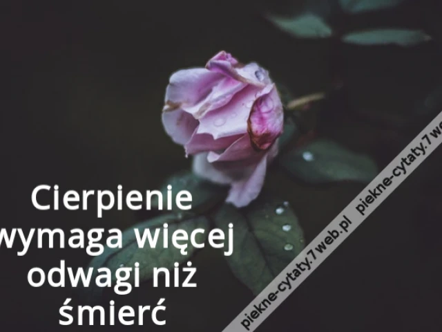 Cierpienie wymaga więcej odwagi niż śmierć