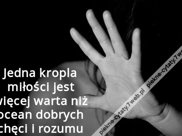 Jedna kropla miłości jest więcej warta niż ocean dobrych chęci i rozumu