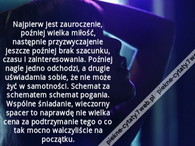 Najpierw jest zauroczenie, poźniej wielka miłość, następnie przyzwyczajenie jeszcze poźniej brak szacunku, czasu i zainteresowania. Poźniej nagle jedno odchodzi, a drugie uświadamia sobie, że nie może żyć w samotności. Schemat za schematem schemat pogania
