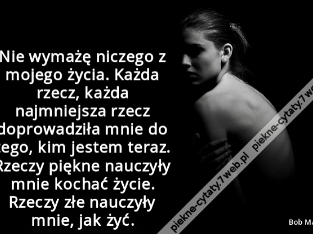 Nie wymażę niczego z mojego życia. Każda rzecz, każda najmniejsza rzecz doprowadziła mnie do tego, kim jestem teraz. Rzeczy piękne nauczyły mnie kochać życie. Rzeczy złe nauczyły mnie, jak żyć.