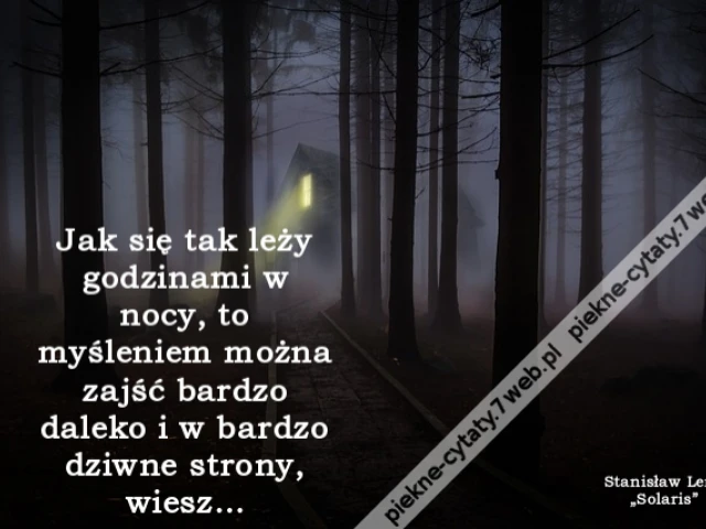Jak się tak leży godzinami w nocy, to myśleniem można zajść bardzo daleko i w bardzo dziwne strony, wiesz…