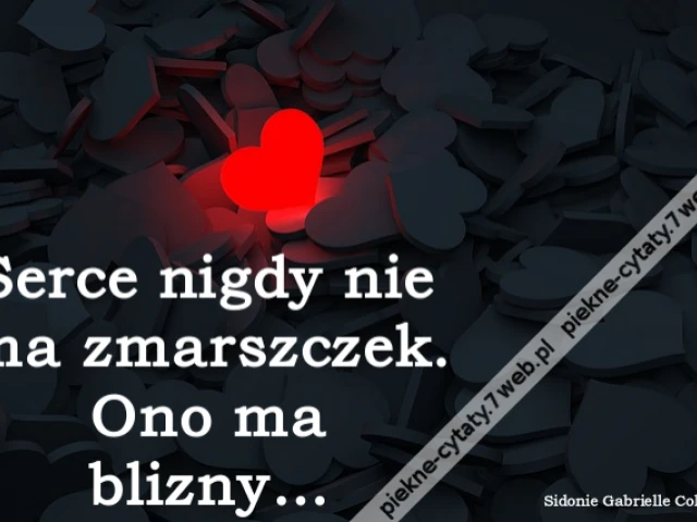 Serce nigdy nie ma zmarszczek. Ono ma blizny…
