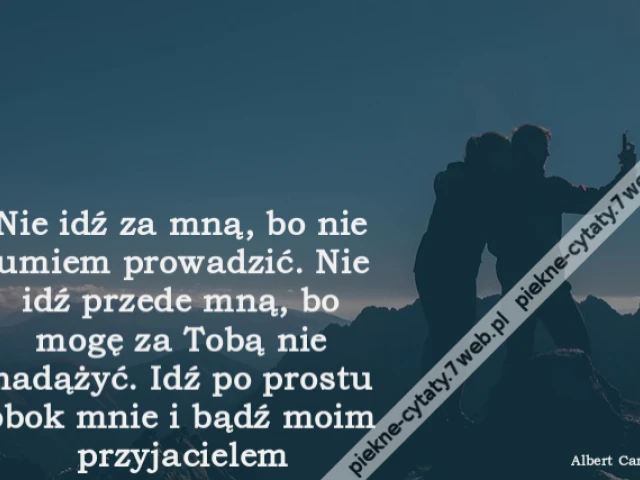 Nie idź za mną, bo nie umiem prowadzić. Nie idź przede mną, bo mogę za Tobą nie nadążyć. Idź po prostu obok mnie i bądź moim przyjacielem